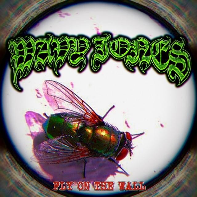 Cover image for Fly on the Wall