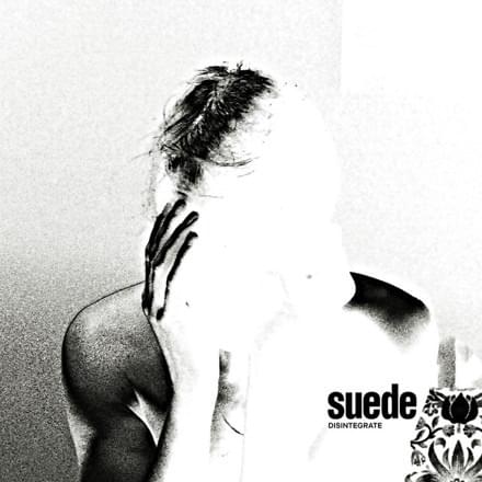 Album cover art for "Disintegrate" by Suede