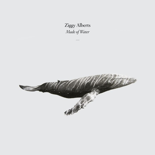 Simple Things (The Ocean Song) by Ziggy Alberts