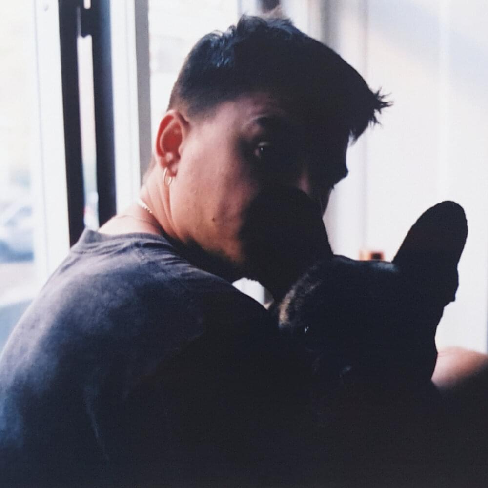 Album cover art for "Det Behøver Ikke At Være Sådan Her" by Danni Toma