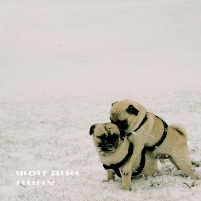 Album cover art for "Fluffy" by Wolf Alice