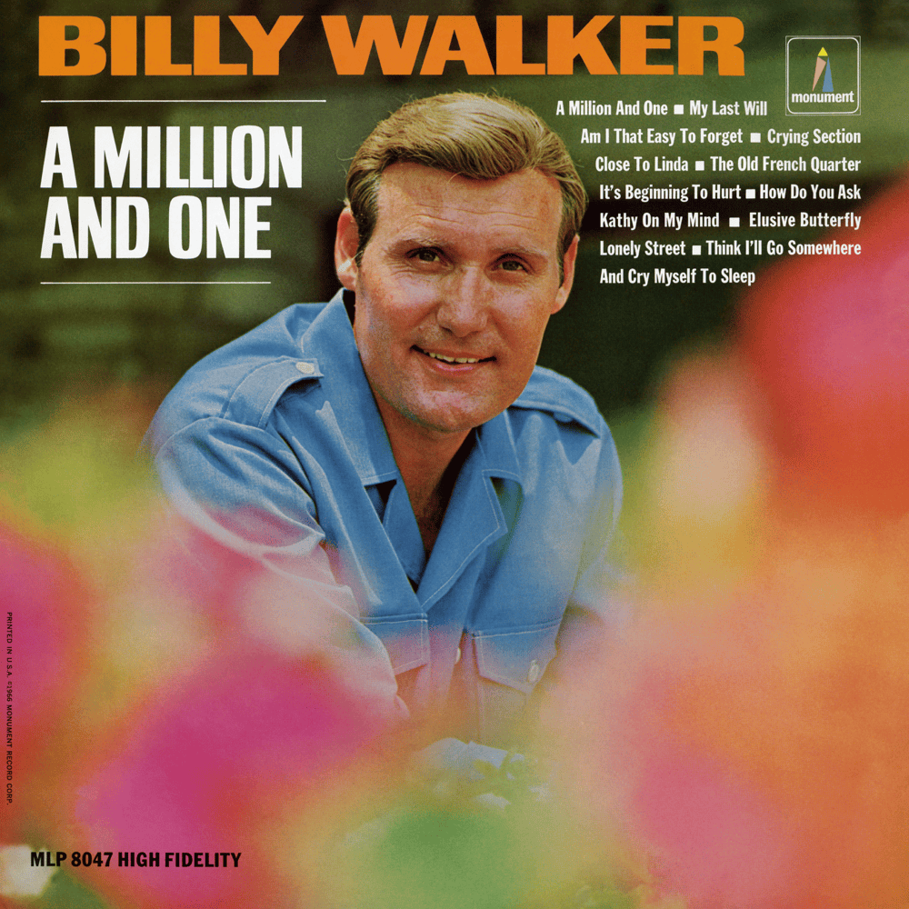Cover image for A Million And One