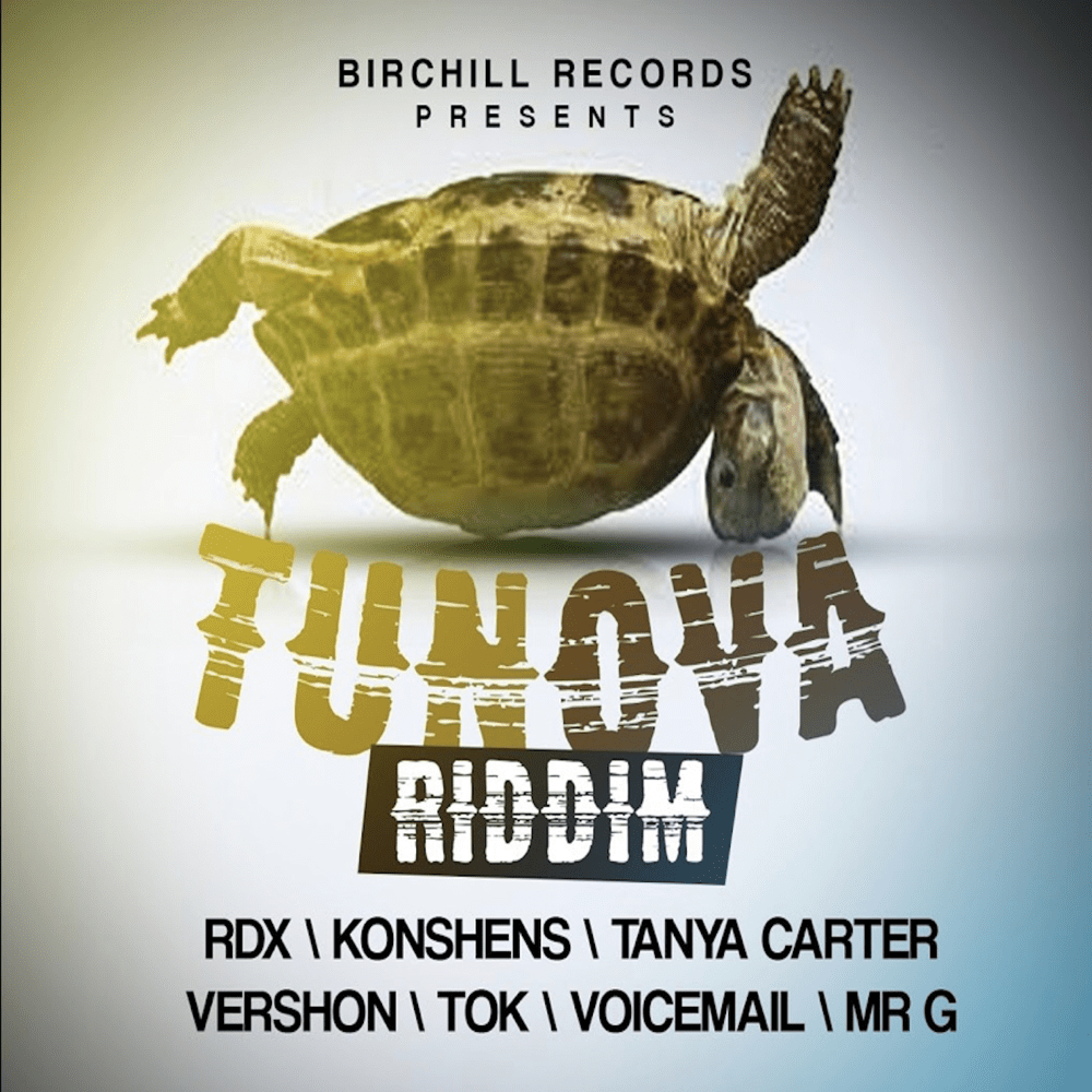 The Bruk Out Song by RDX