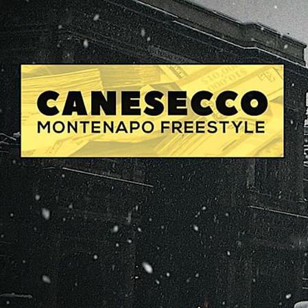 Album cover art for "Montenapo (Illegal Freestyle)" by CaneSecco