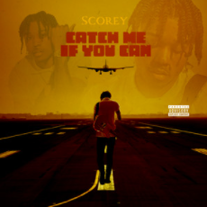 Cover image for Catch Me If You Can