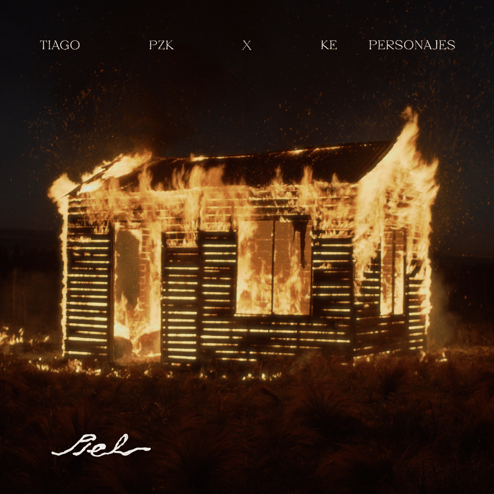 Album cover art for "Piel" by Tiago PZK