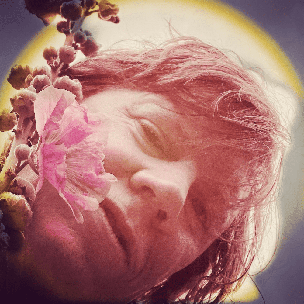 Album cover art for "Rewilding" by Thurston Moore