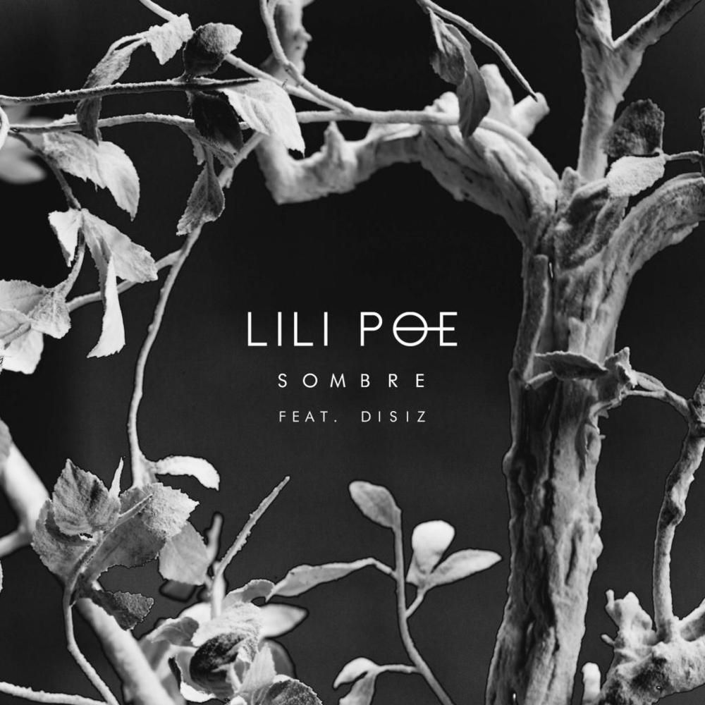 Sombre by Lili Poe