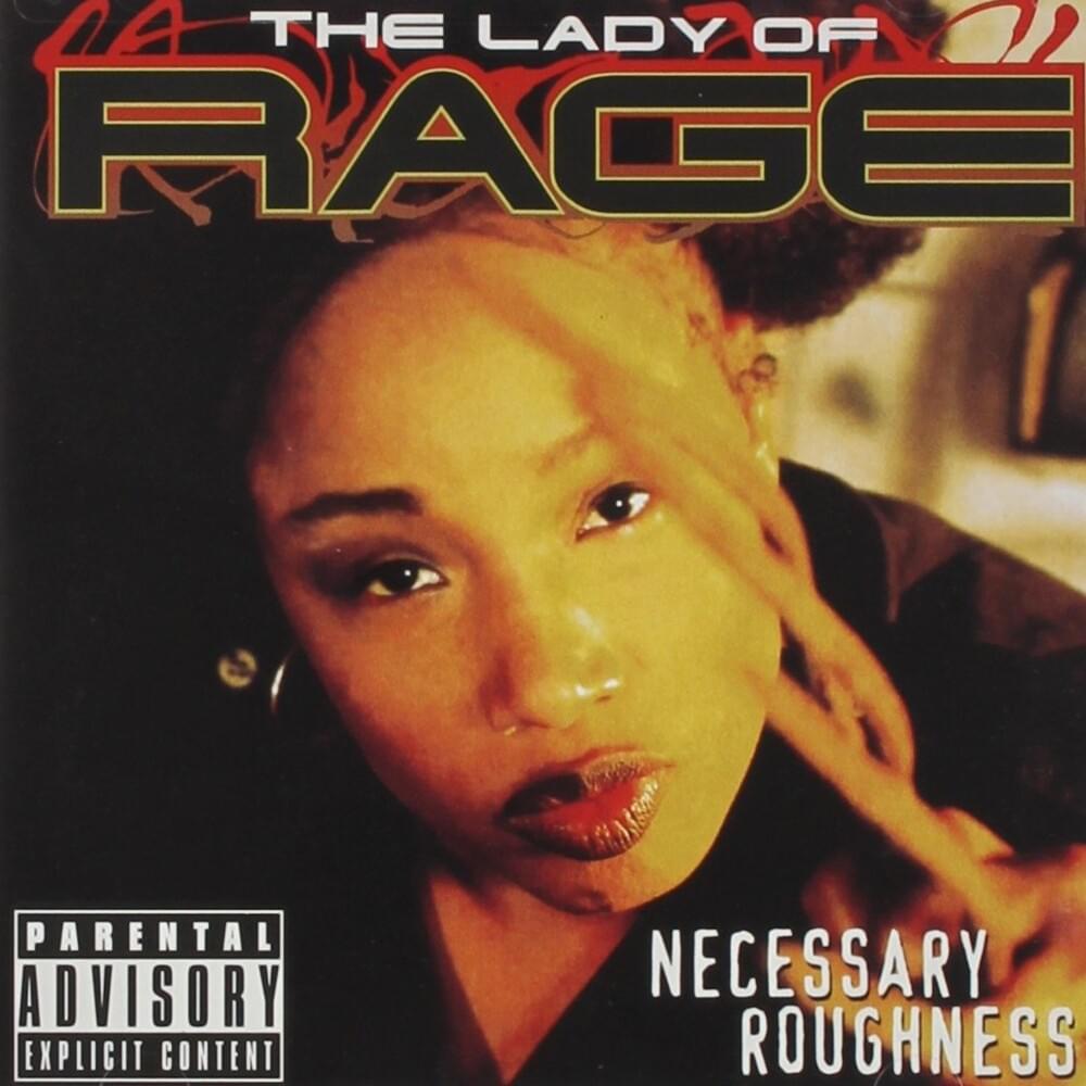 Cover image for Necessary Roughness