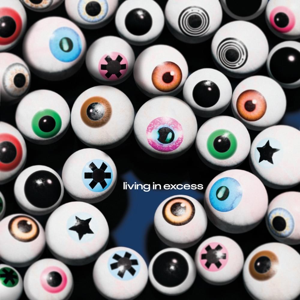 Album cover art for "LIVING IN EXCESS" by GOON DES GARCONS*