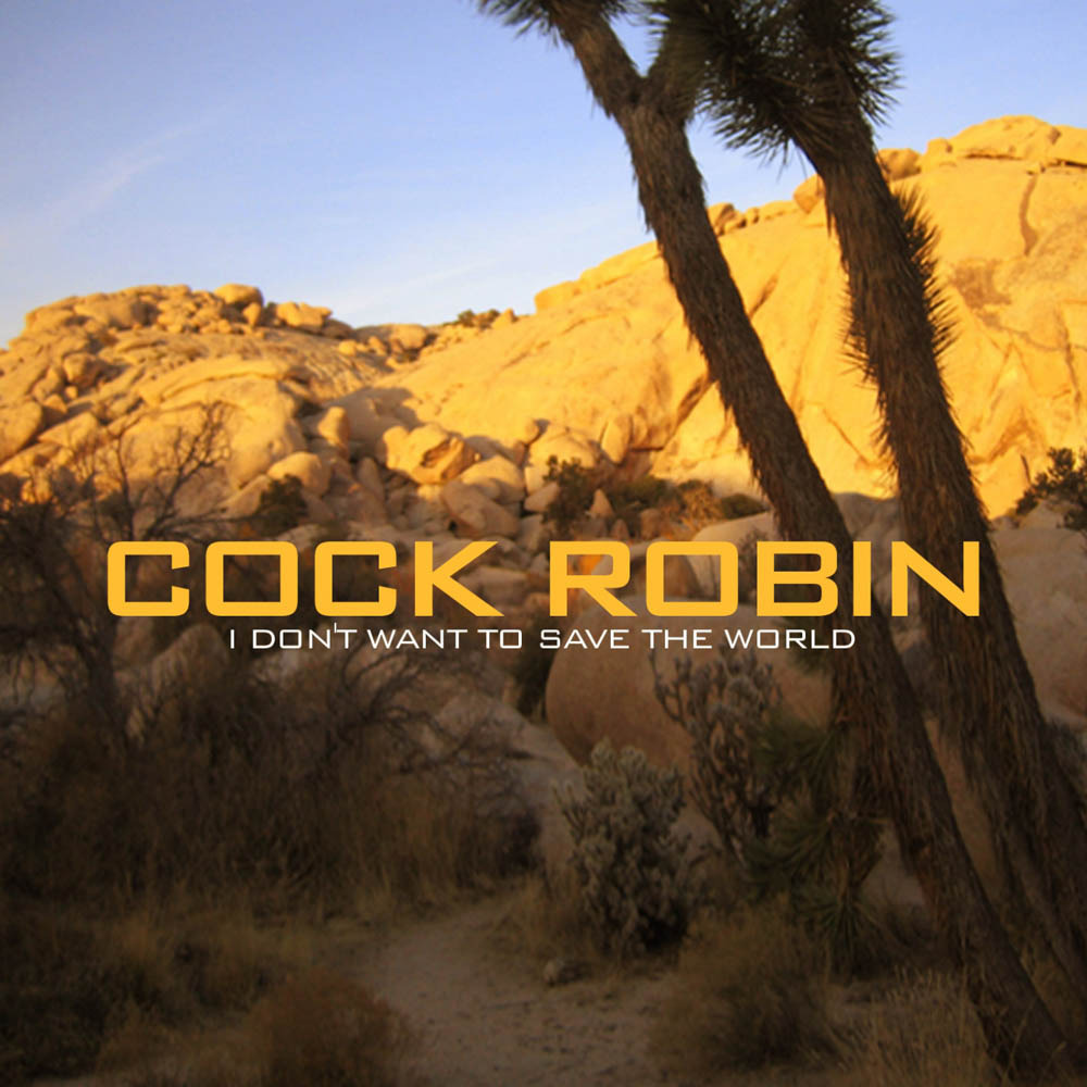 Bo by Cock Robin
