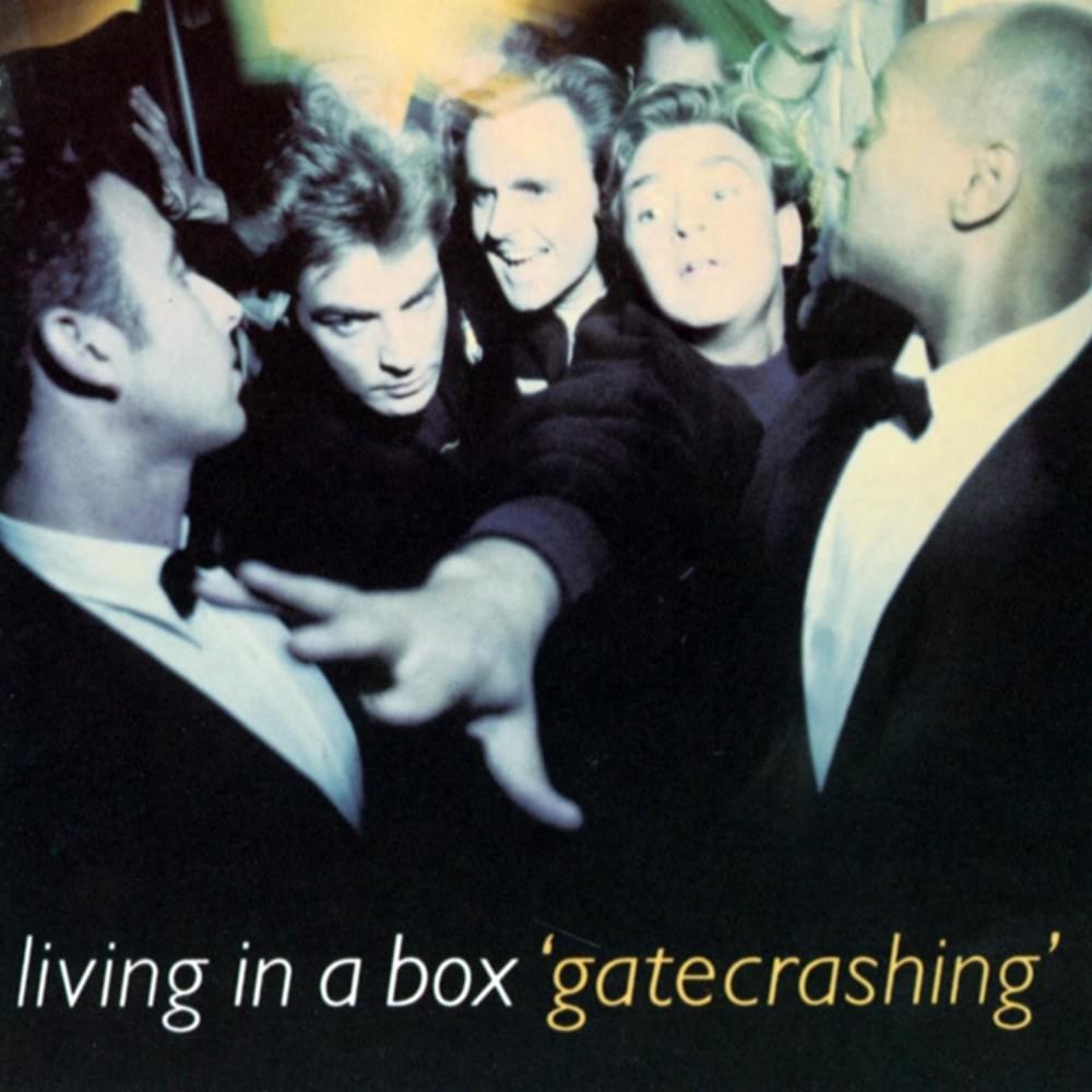 Live It Up by Living in a Box