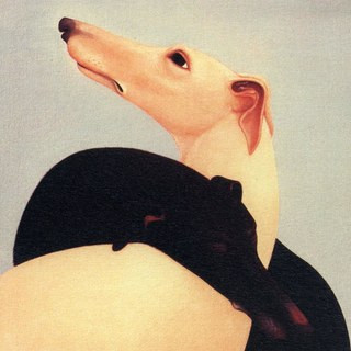 Cover image for Saint Marie - EP