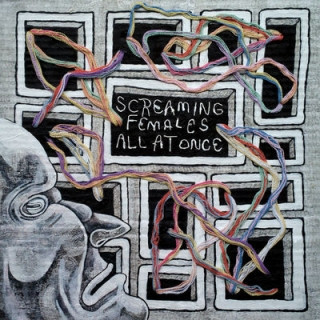 I’ll Make You Sorry by Screaming Females