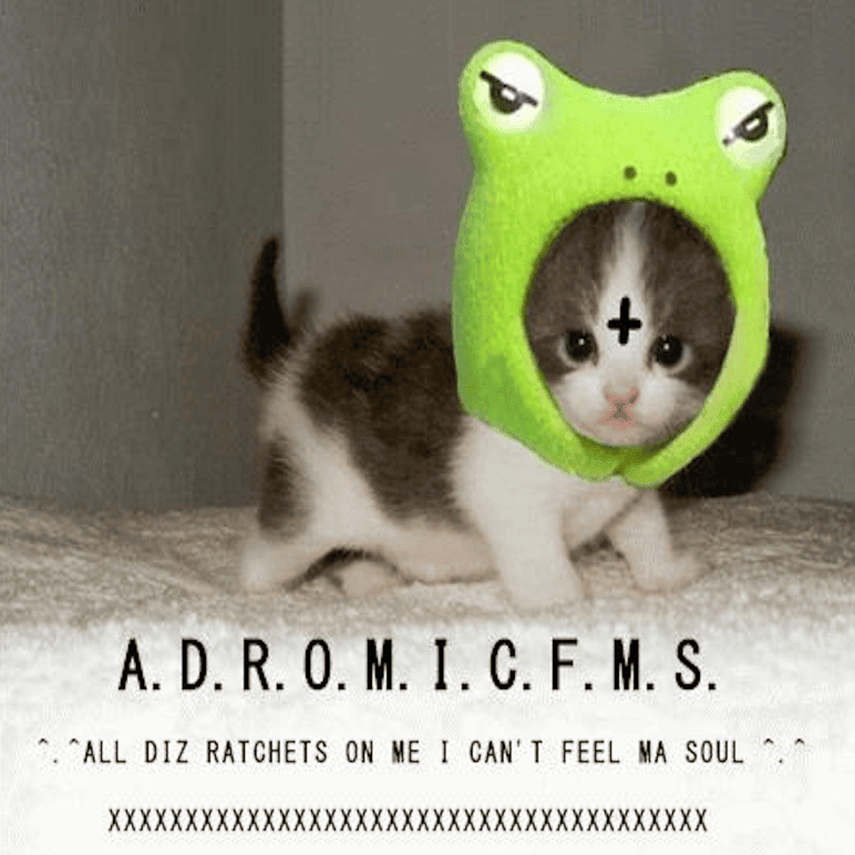 Intro (A.D.R.O.M.I.C.F.M.S.) by Yung Beef