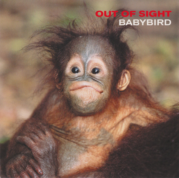 Album cover art for "Out Of Sight" by Babybird