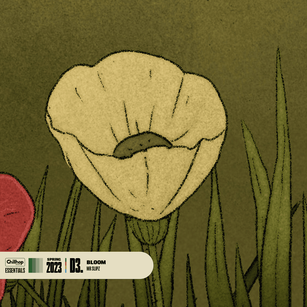 Album cover art for "Bloom" by Mr Slipz