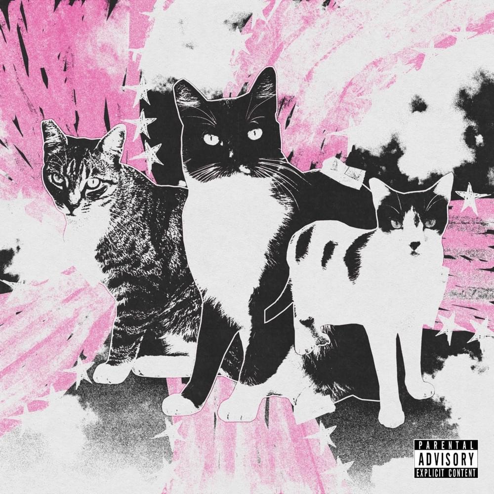 Album cover art for "Caturday" by tobi lou