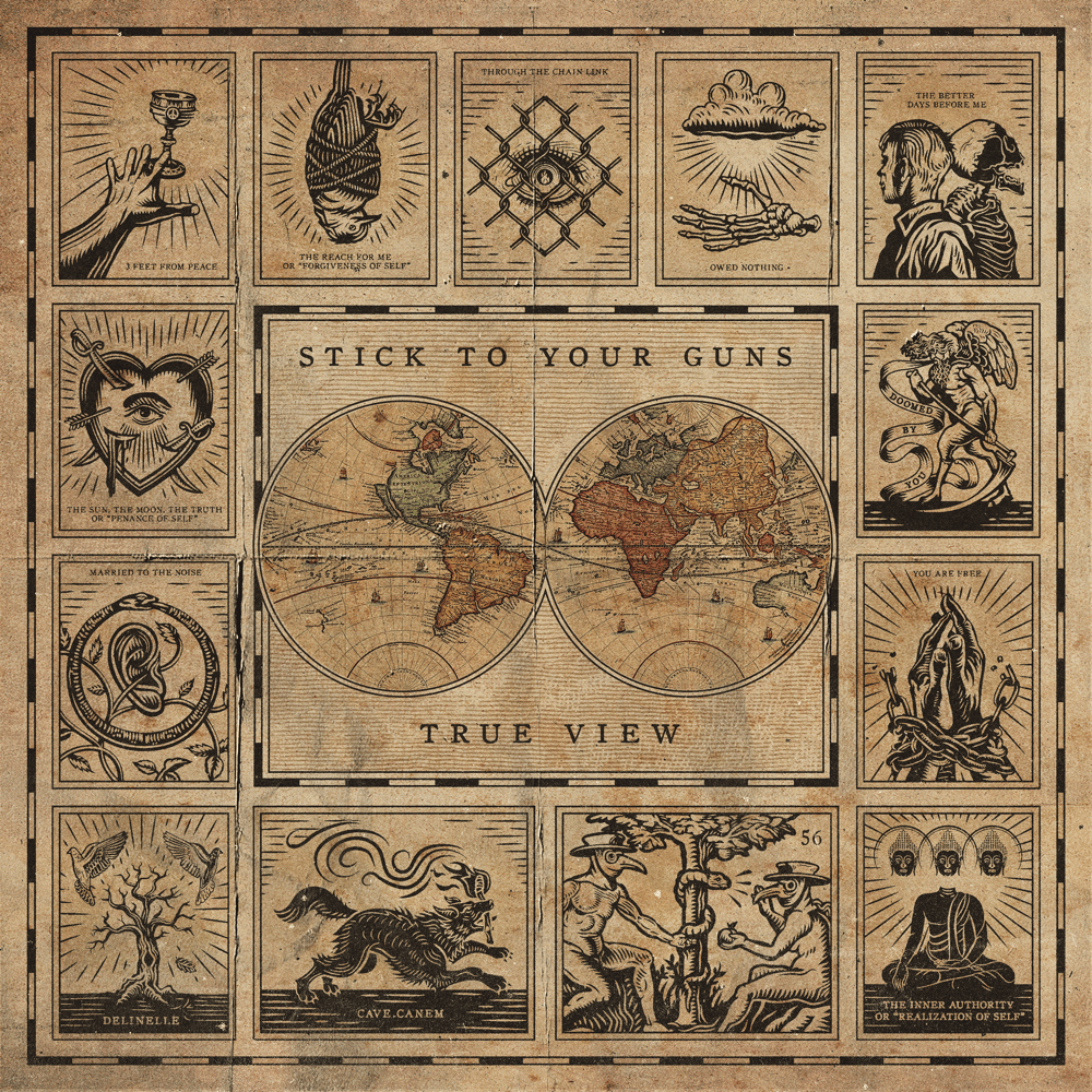 Cover image for True View