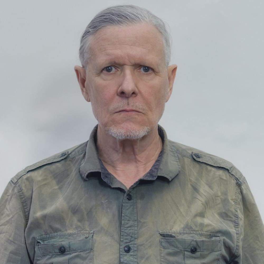 Cover image for Swans