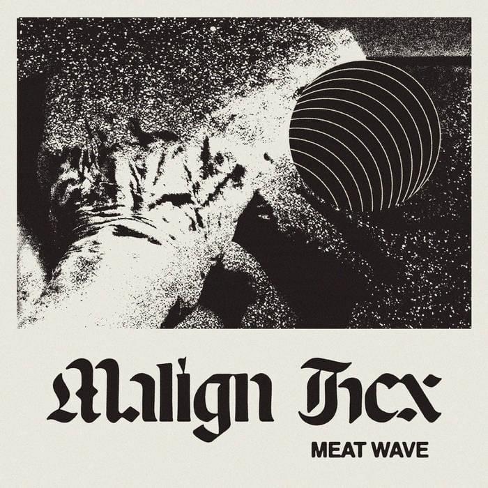 10k by Meat Wave