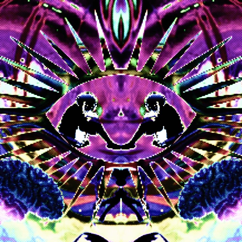 Cover image for FRY YOUR BRAIN