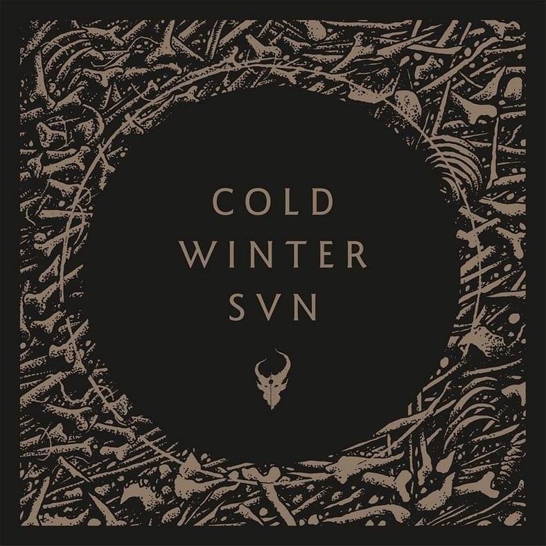 Album cover art for "Cold Winter Sun" by Demon Hunter