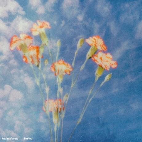 Cover image for Limited (Single)