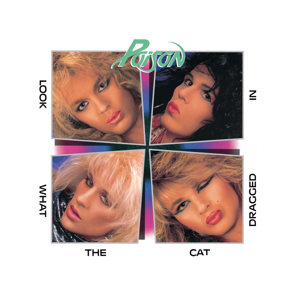 Cover image for Look What the Cat Dragged In (20th Anniversary Edition)