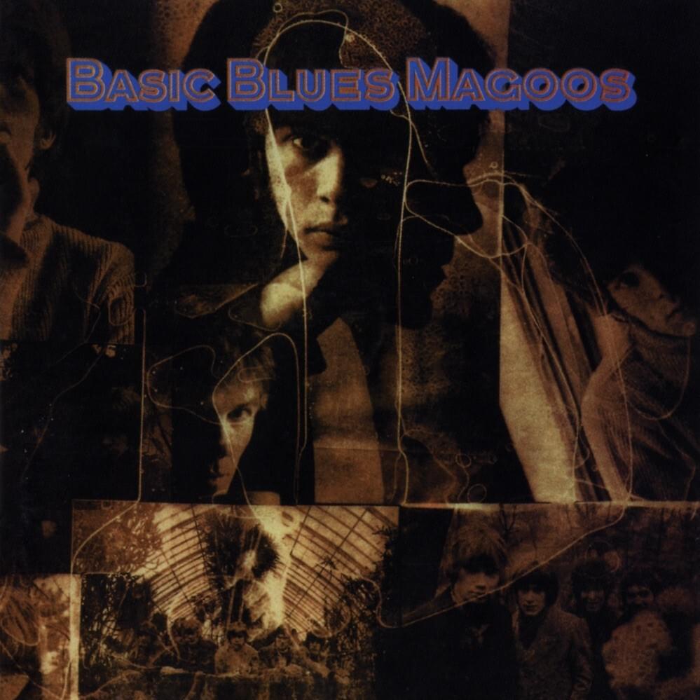 There She Goes by Blues Magoos