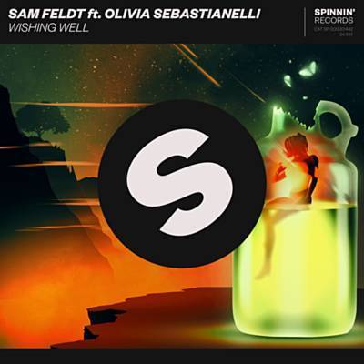 Wishing Well by Sam Feldt