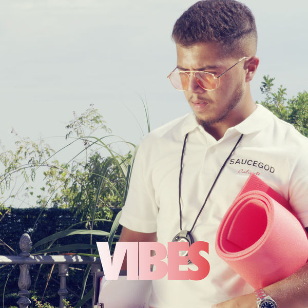 Album cover art for "Vibes" by Hamza