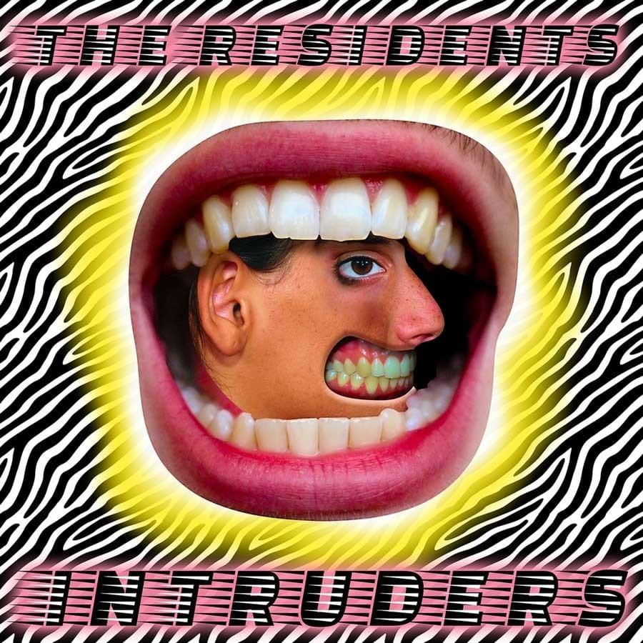 Cover image for Intruders