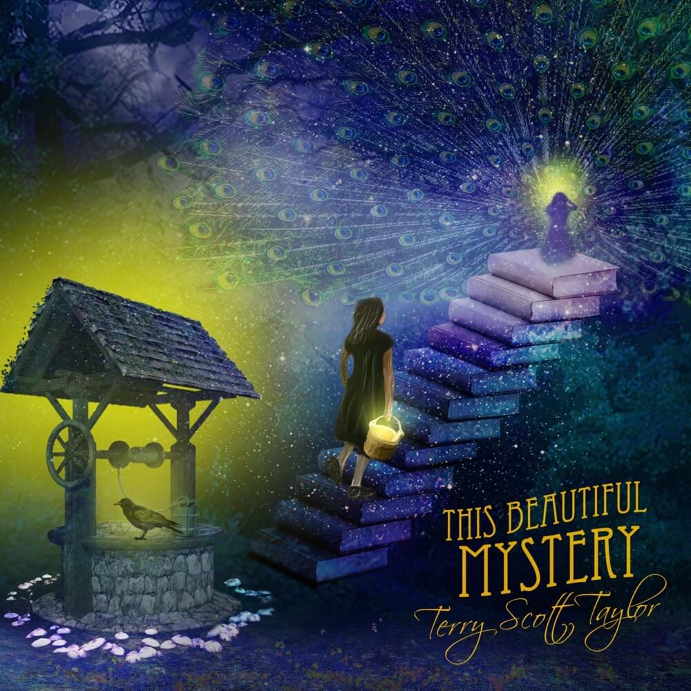 Cover image for This Beautiful Mystery