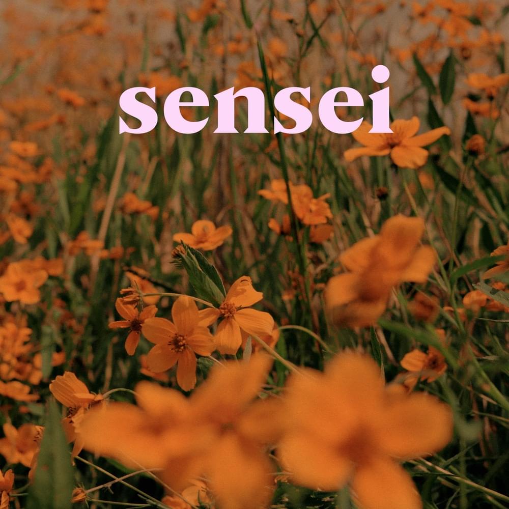 Album cover art for "Sensei" by Caloncho