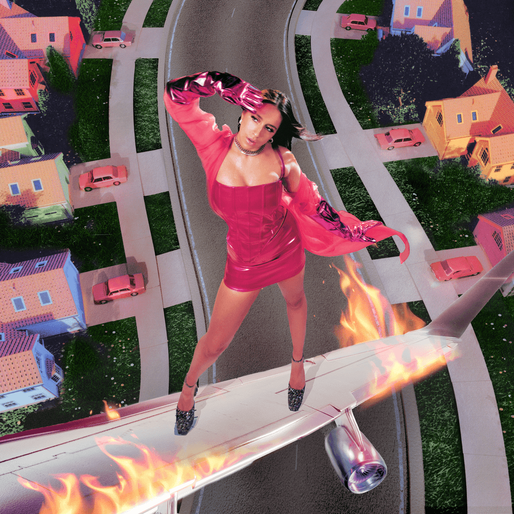 Cover image for i used to think i could fly
