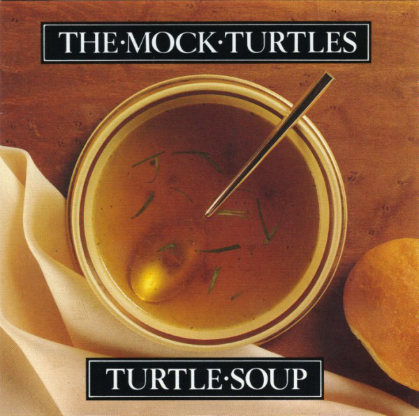 Cover image for Turtle Soup
