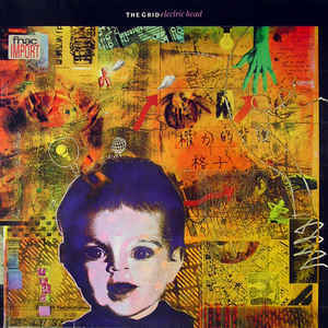 Cover image for Electric Head