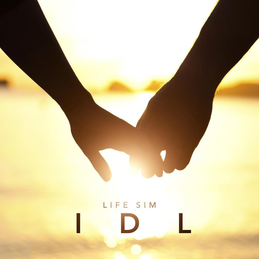 Album cover art for "I.D.L" by Life Sim