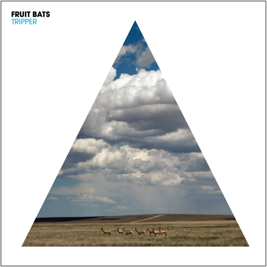 You’re Too Weird by Fruit Bats