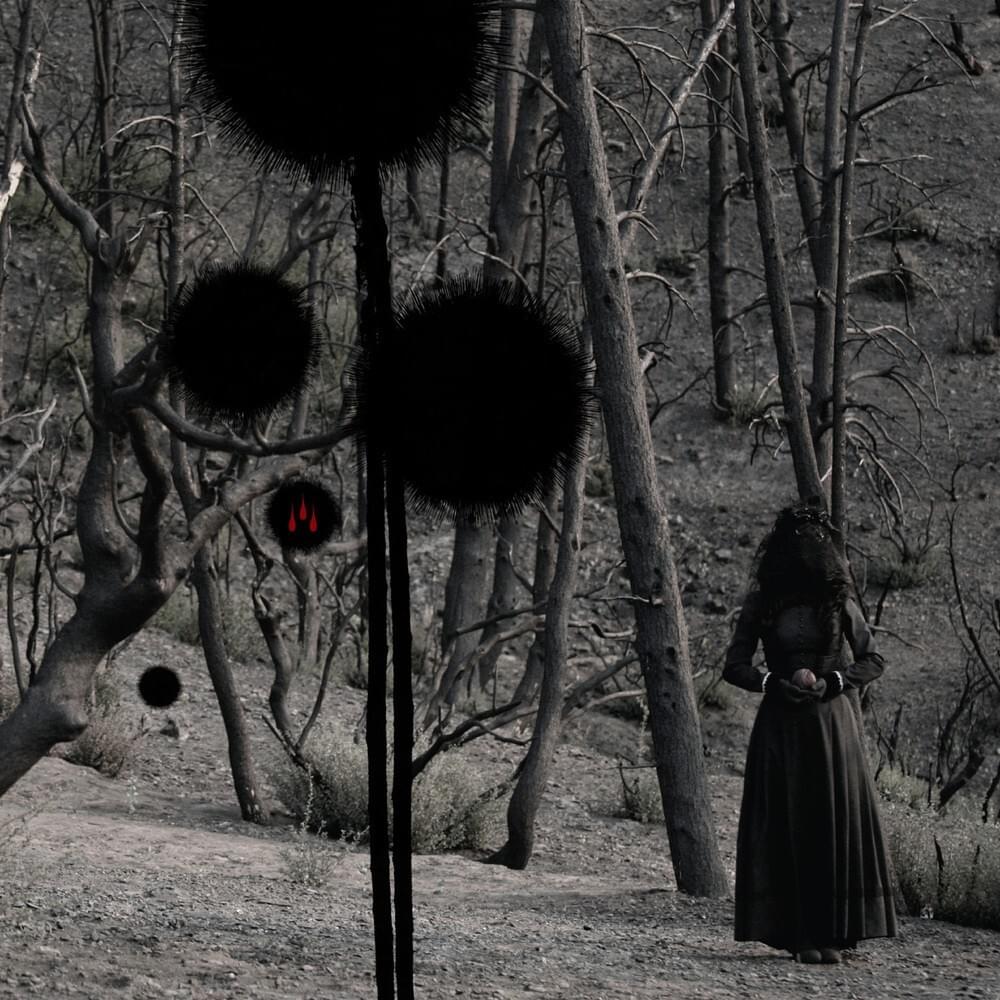Cover image for Holy Tears + Not in Rivers, but in Drops