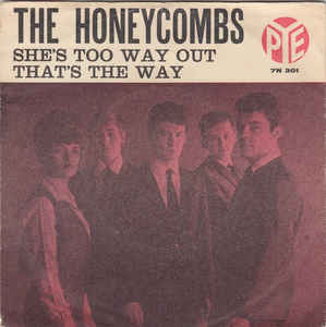 Album cover art for "She’s Too Way Out" by The Honeycombs