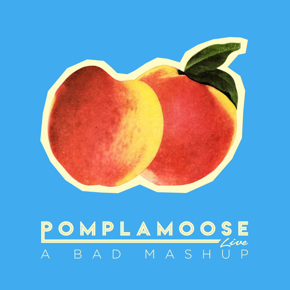 Album cover art for "A Bad Mashup: Bad Romance / Bad Blood / Bad Boys / Bad" by Pomplamoose