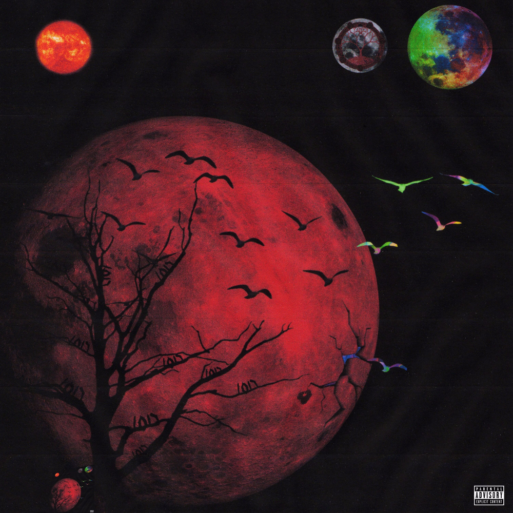 Album cover art for "IN O4'" by Lil Uzi Vert