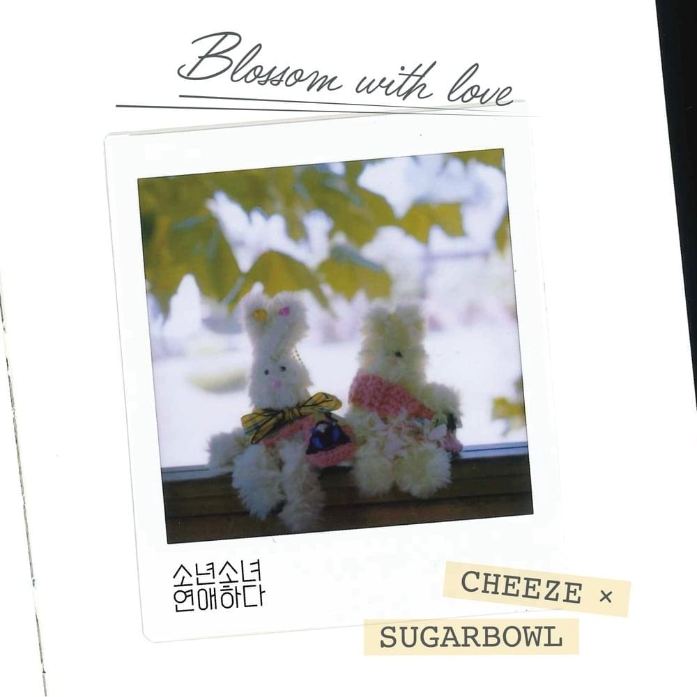 Cover image for 소년 소녀 연애하다 (Blossom with Love) (Original Soundtrack), Pt. 2