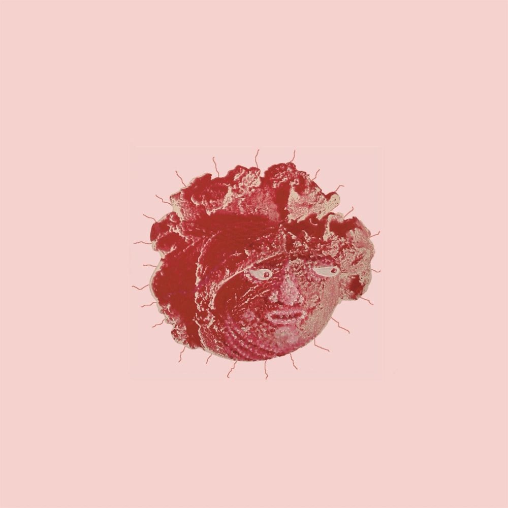 Album cover art for "Algae" by Black Moth Super Rainbow