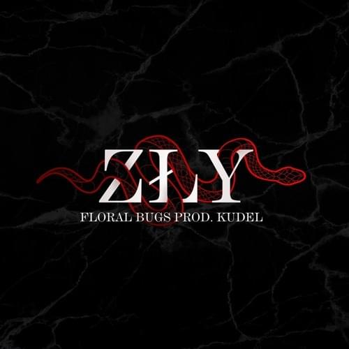 Album cover art for "ZŁY" by Floral Bugs