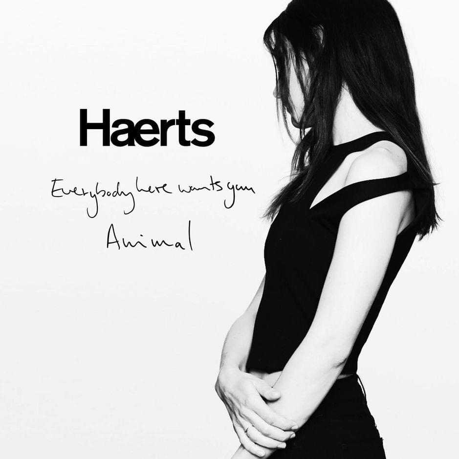 Cover image for Everybody Here Wants You