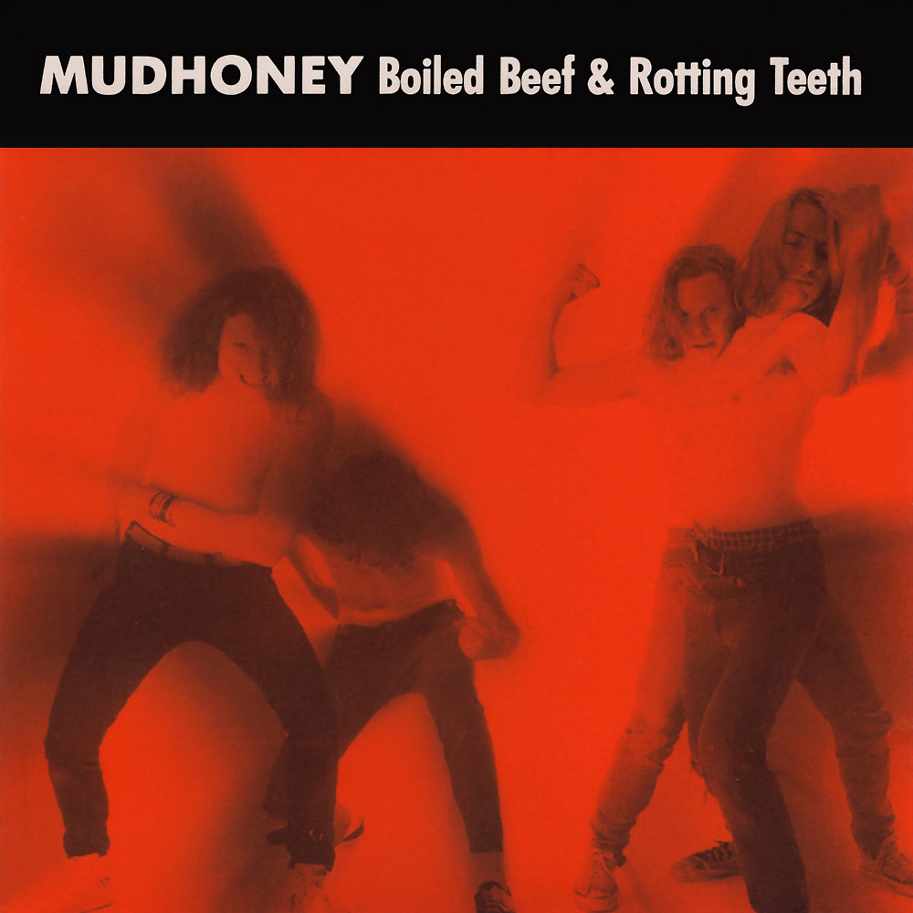 Hate the Police by Mudhoney