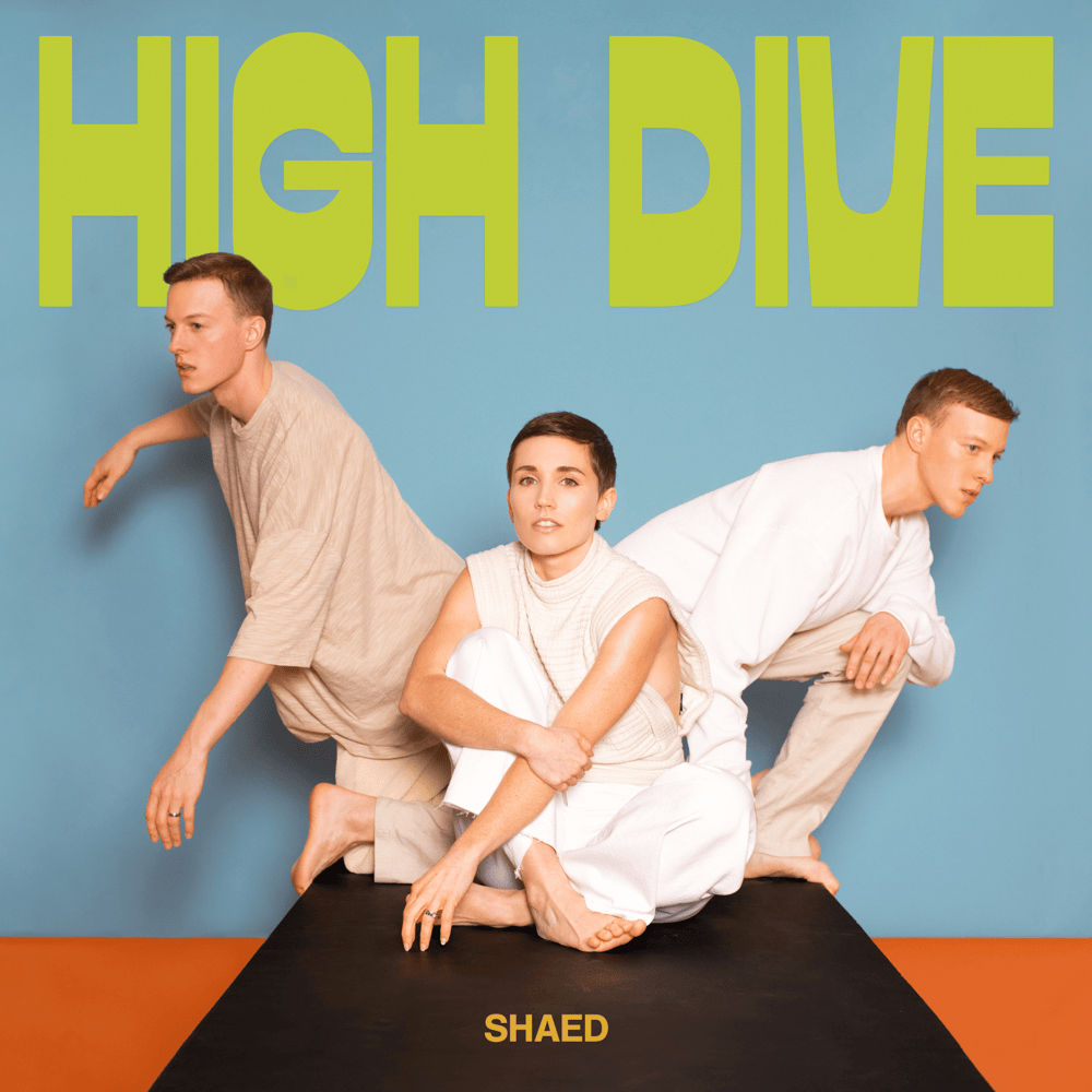 Cover image for High Dive